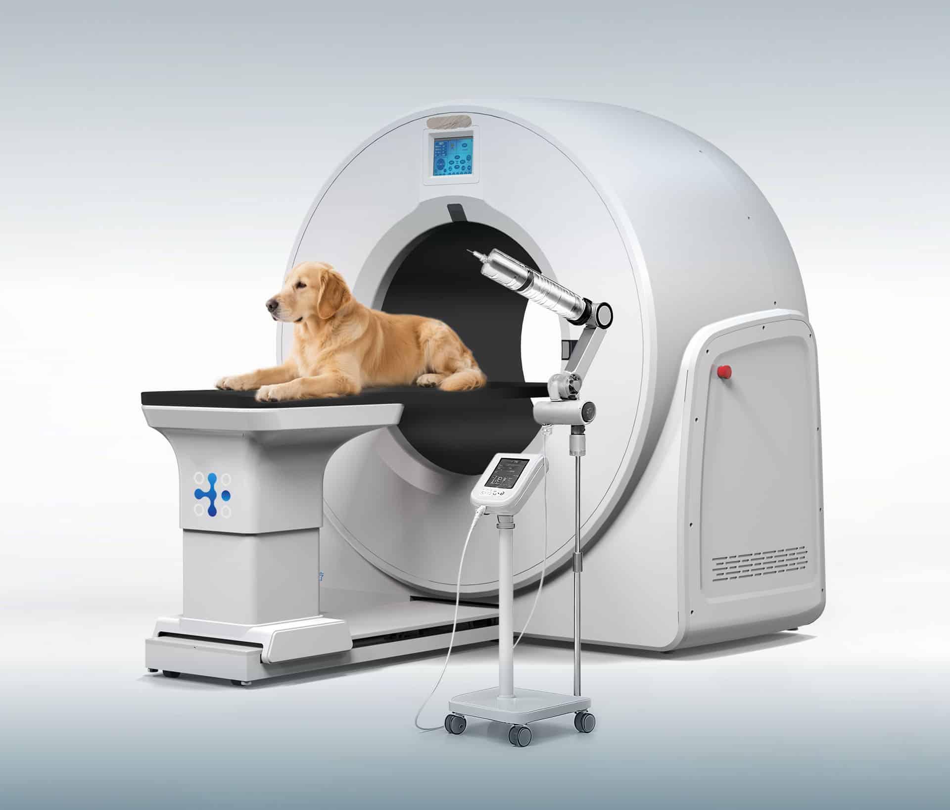 vetist 5 | Rauberger